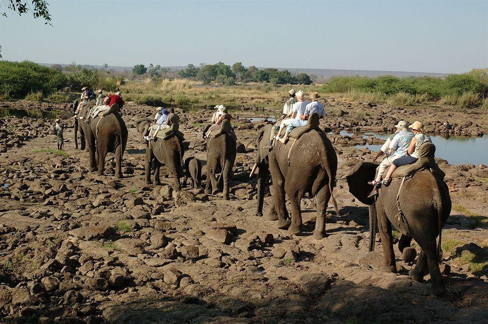 Three Cities Thorntree River Lodge Livingstone Esterno foto