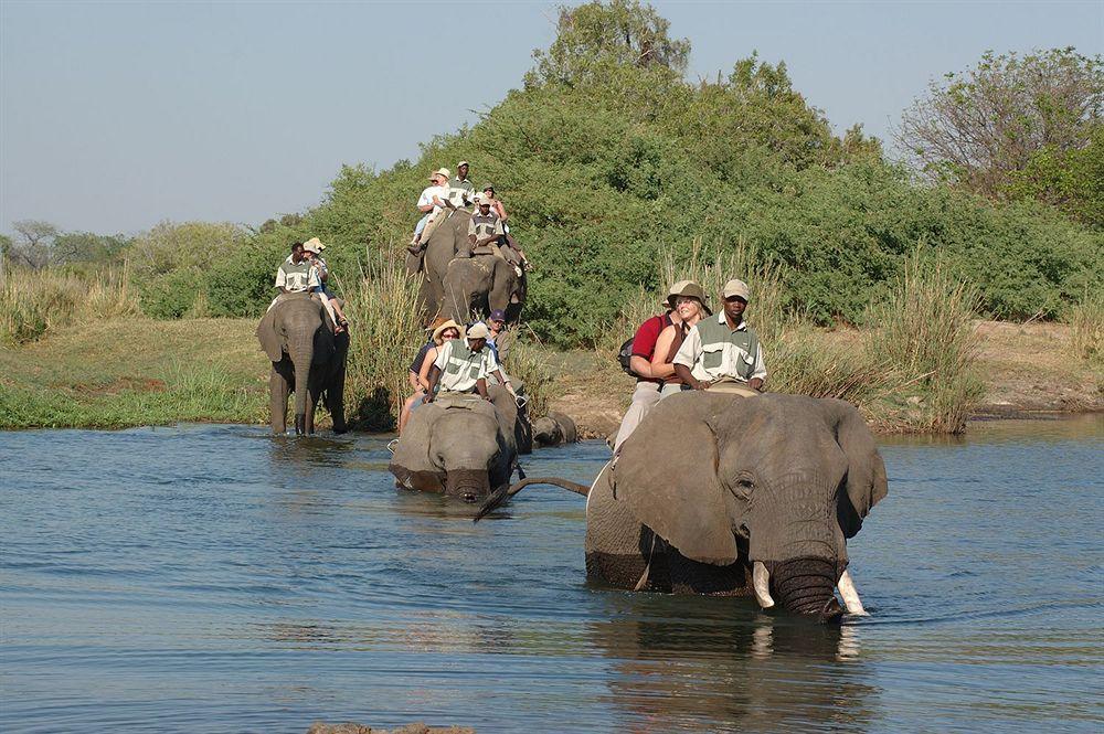 Three Cities Thorntree River Lodge Livingstone Esterno foto