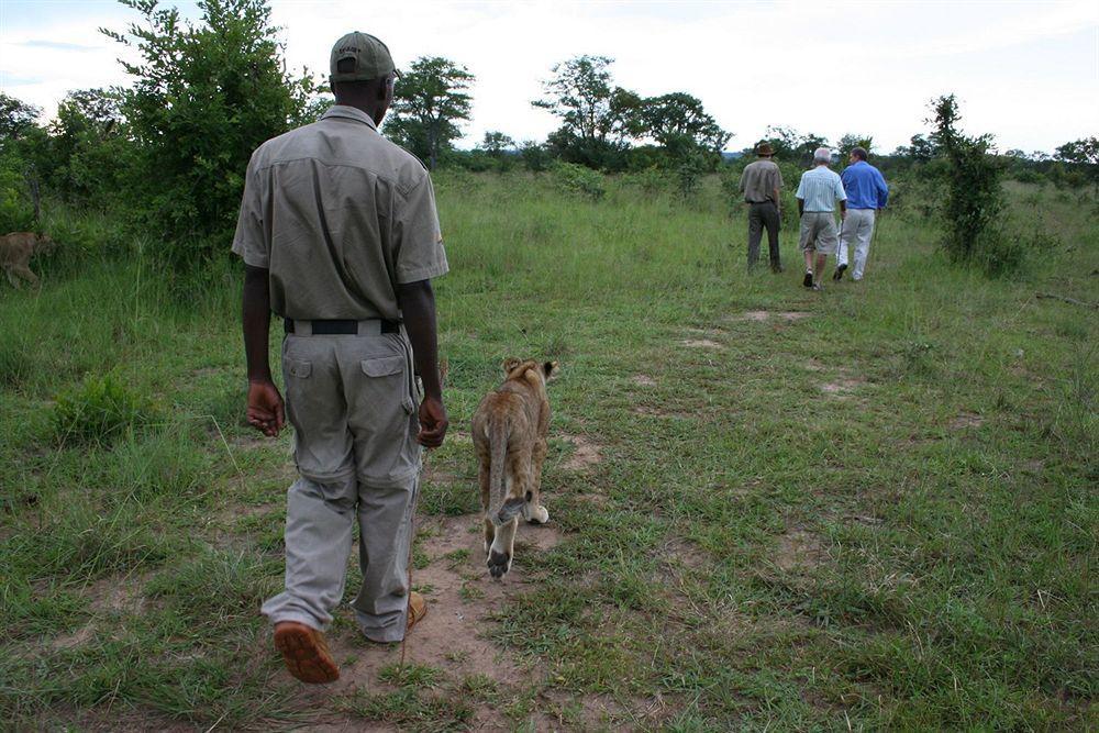 Three Cities Thorntree River Lodge Livingstone Esterno foto