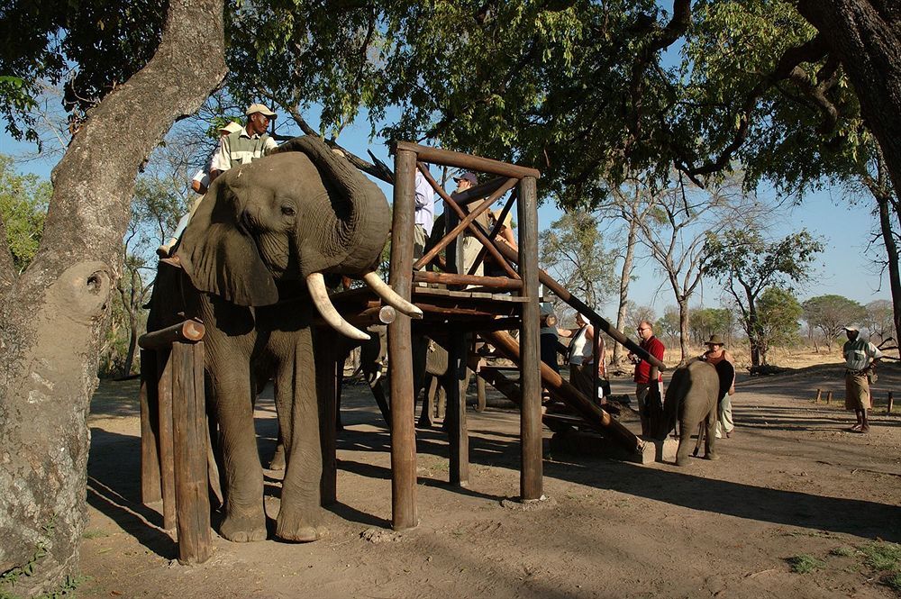 Three Cities Thorntree River Lodge Livingstone Esterno foto