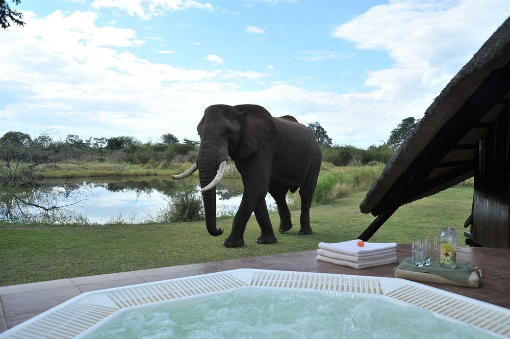 Three Cities Thorntree River Lodge Livingstone Esterno foto